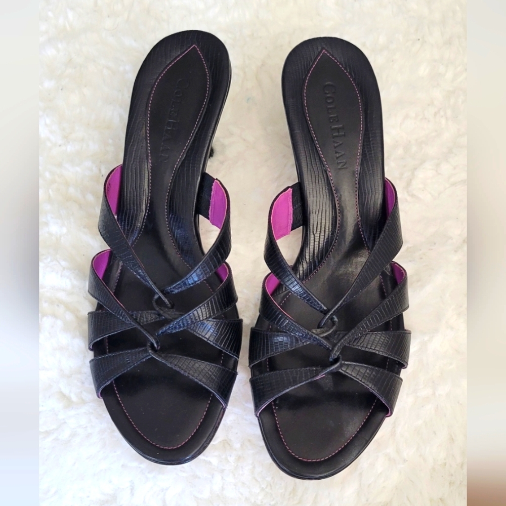 Cole Haan Joye Slide Black and Purple Sandals